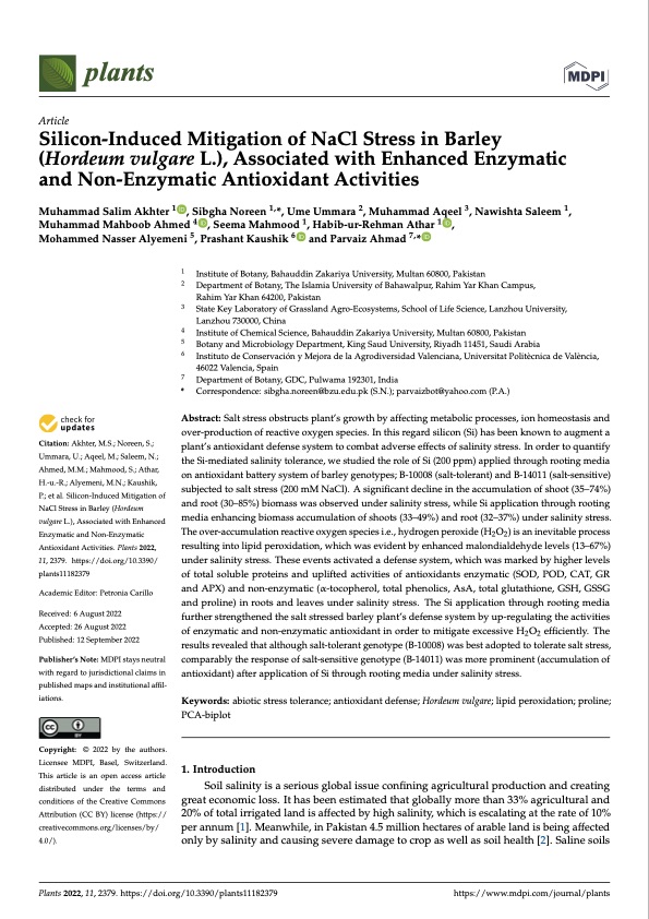 silicon-induced-mitigation-nacl-stress-barley-001