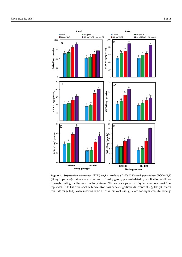 silicon-induced-mitigation-nacl-stress-barley-005