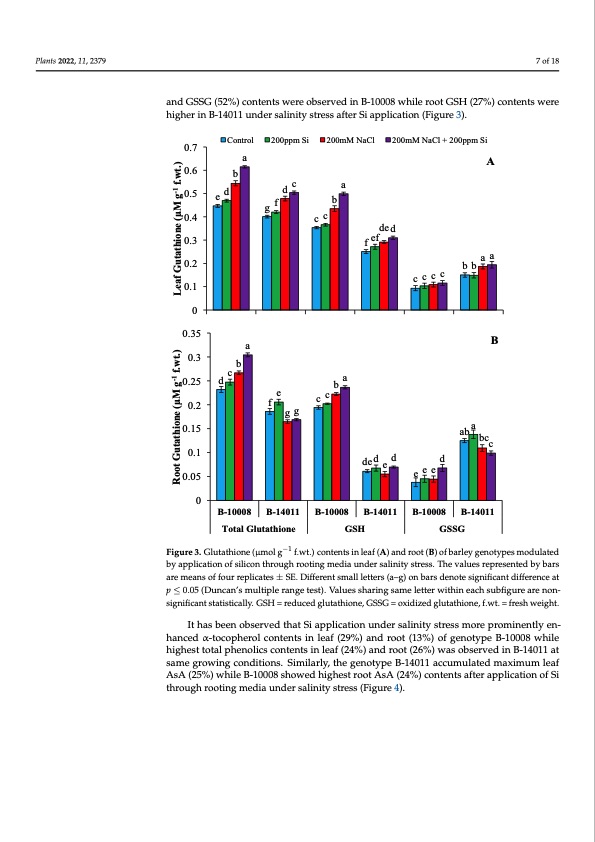 silicon-induced-mitigation-nacl-stress-barley-007