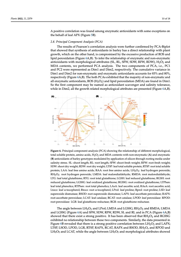 silicon-induced-mitigation-nacl-stress-barley-010