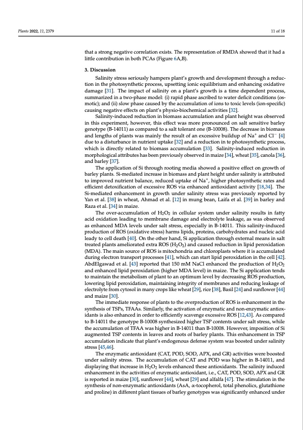 silicon-induced-mitigation-nacl-stress-barley-011