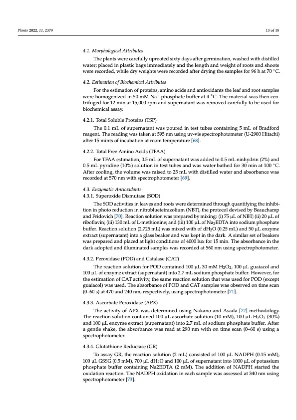 silicon-induced-mitigation-nacl-stress-barley-013
