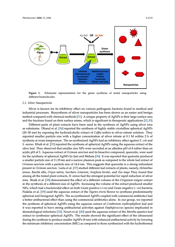 bactericidal-antibacterial-mechanism-plant-nanoparticles-003
