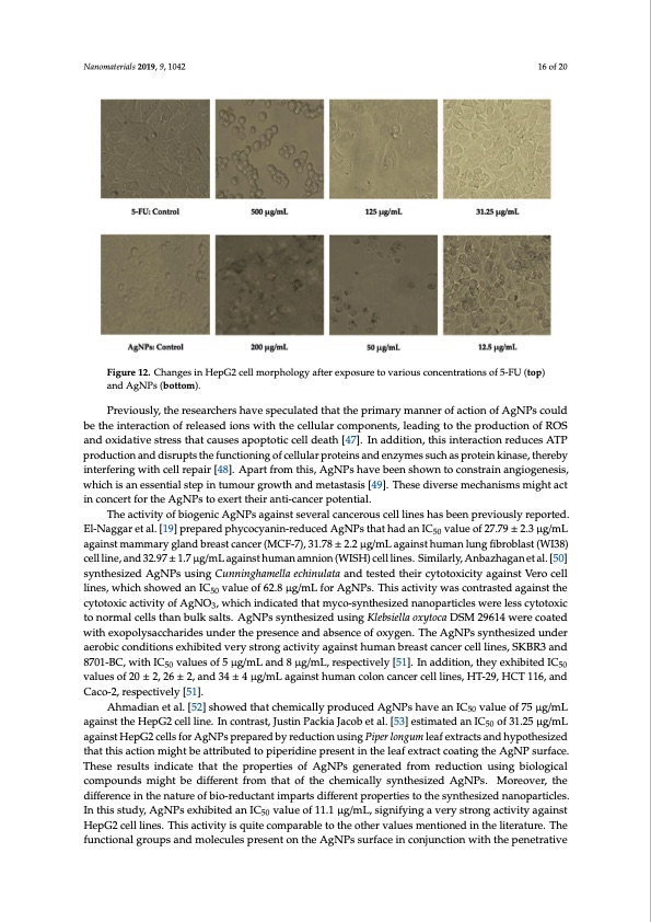 biosynthesis-silver-nanoparticles-talaromyces-purpurogenus-016
