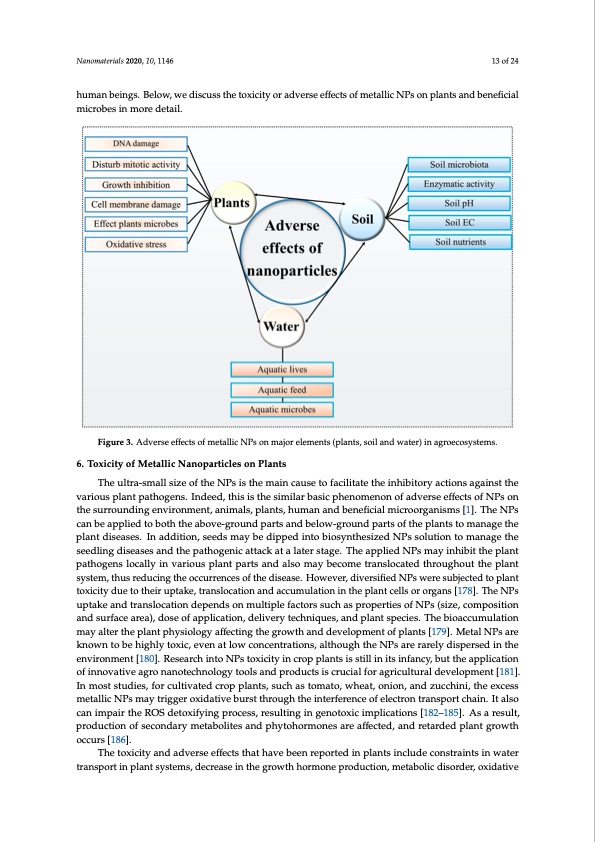 plant-and-microbe-based-synthesis-metallic-nanoparticles-013
