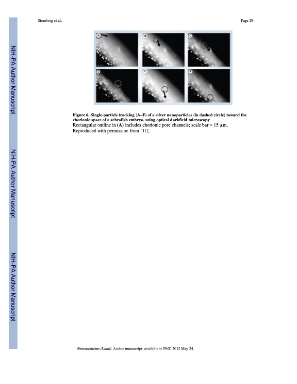 toxicological-studies-silver-nanoparticles-029