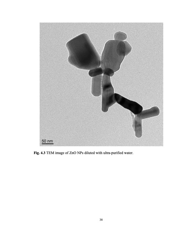 zinc-oxide-and-silver-nanoparticles-on-intestinal-bacteria-049