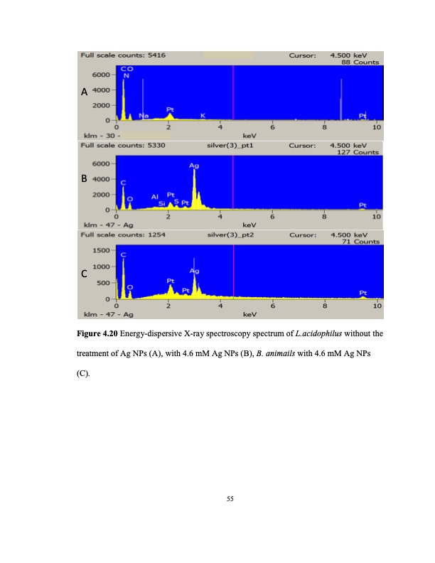 zinc-oxide-and-silver-nanoparticles-on-intestinal-bacteria-066