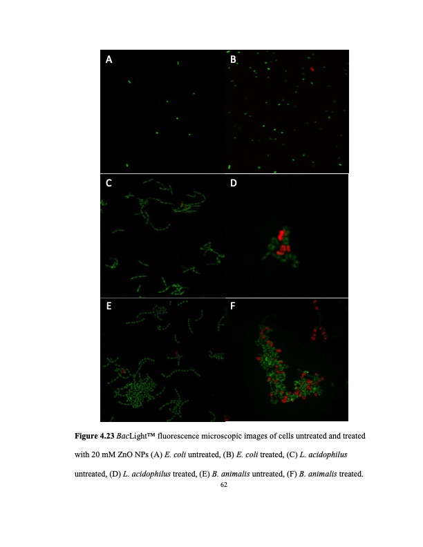 zinc-oxide-and-silver-nanoparticles-on-intestinal-bacteria-073