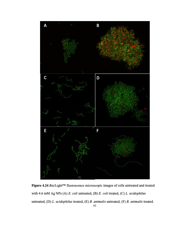 zinc-oxide-and-silver-nanoparticles-on-intestinal-bacteria-074