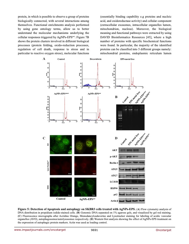 anticancer-activity-biogenerated-silver-nanoparticles-007