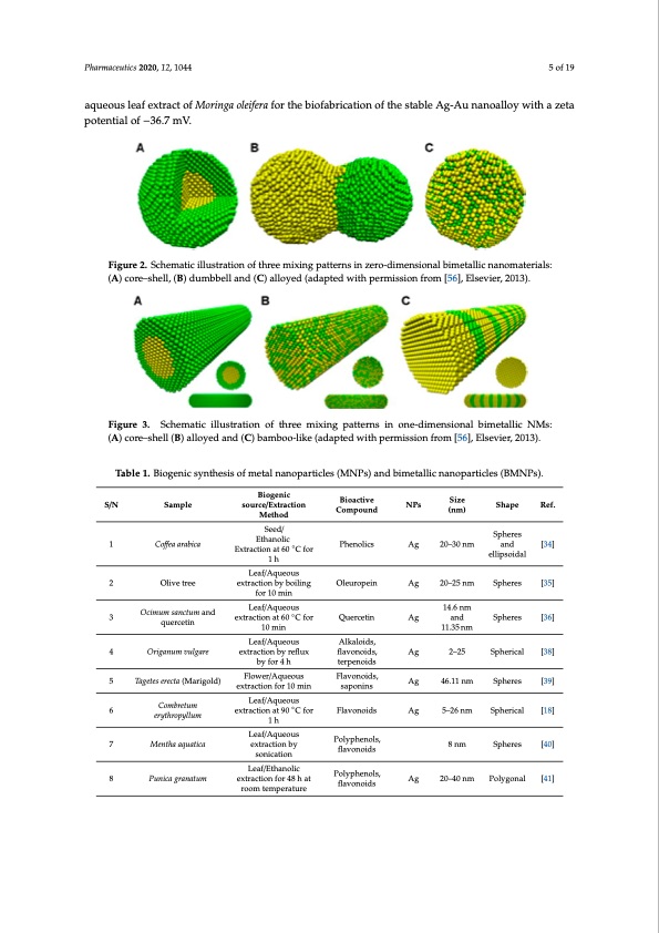 bactericidal-antibacterial-mechanism-plant-nanoparticles-005
