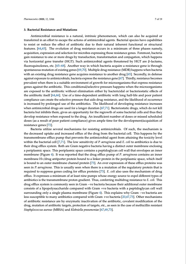 bactericidal-antibacterial-mechanism-plant-nanoparticles-007