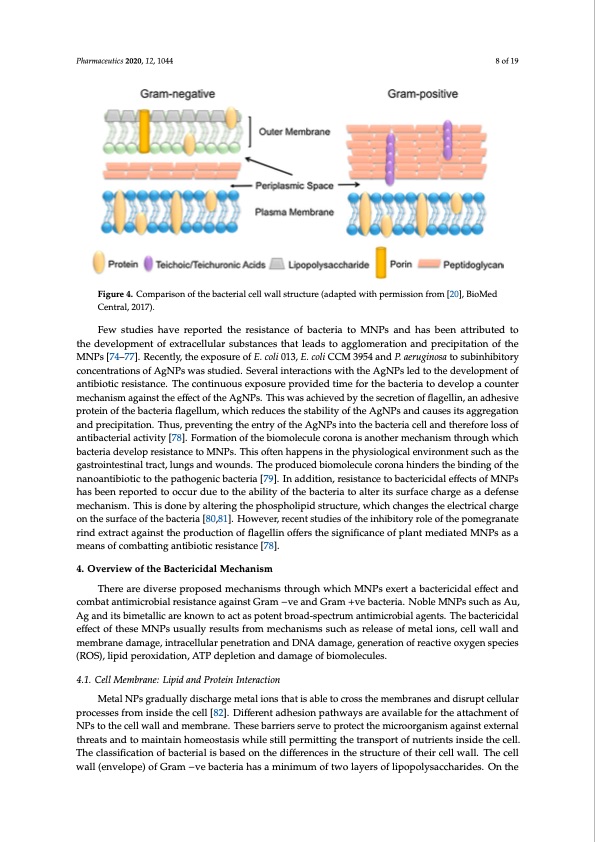bactericidal-antibacterial-mechanism-plant-nanoparticles-008