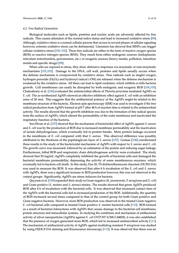 bactericidal-antibacterial-mechanism-plant-nanoparticles-011