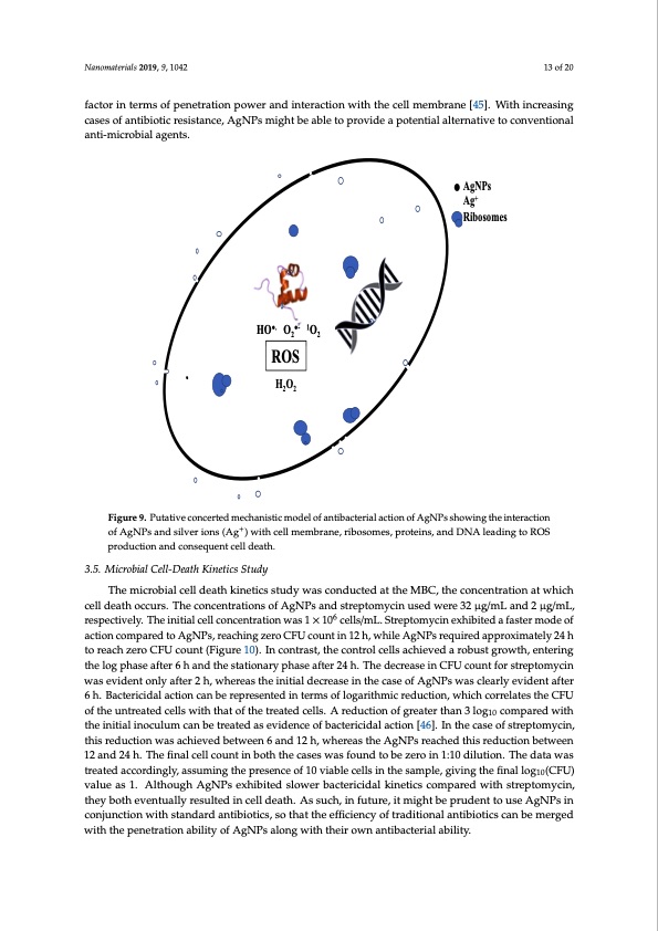 biosynthesis-silver-nanoparticles-talaromyces-purpurogenus-013