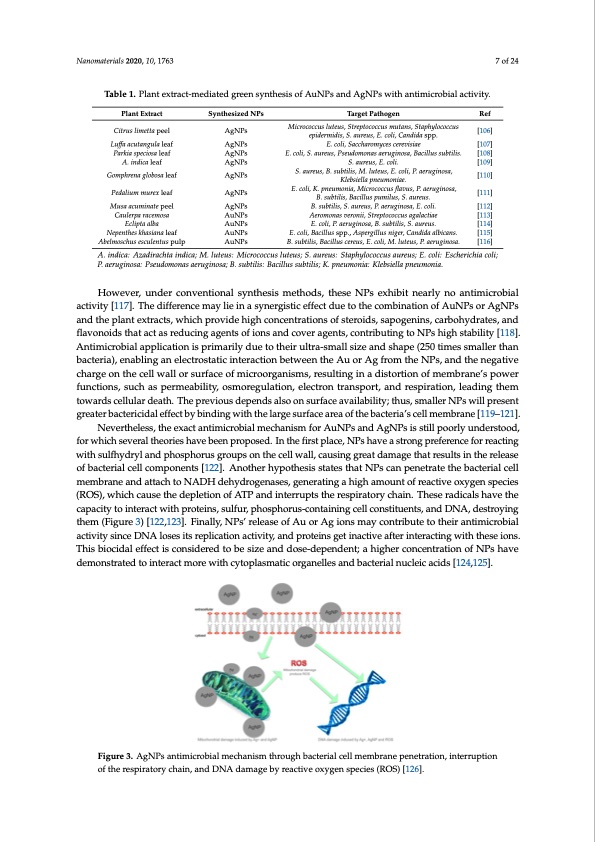 green-synthesis-gold-and-silver-nanoparticles-from-plant-ext-007
