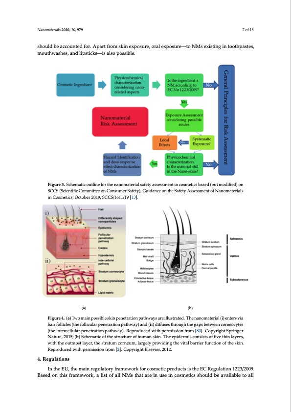 nanomaterials-cosmetics-recent-updates-007