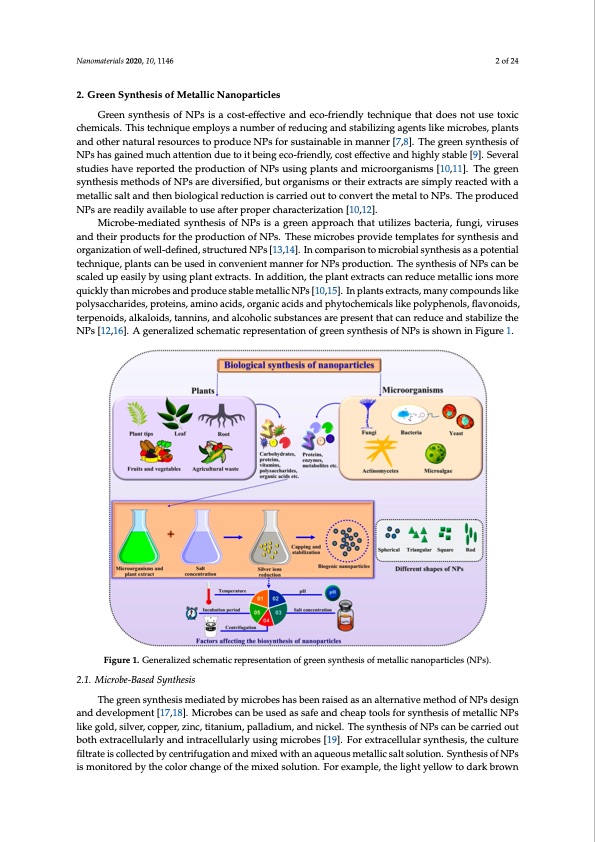plant-and-microbe-based-synthesis-metallic-nanoparticles-002