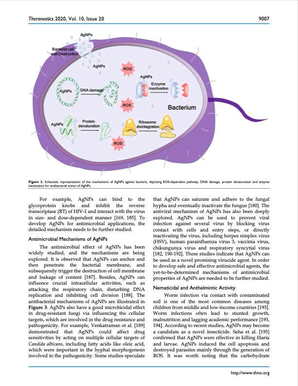 silver-nanoparticles-synthesis-medical-applications-safety-012