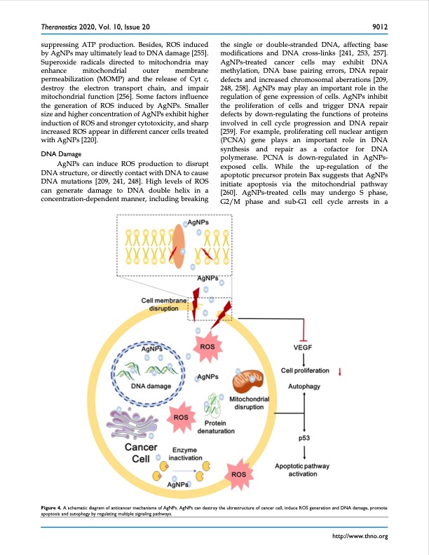 silver-nanoparticles-synthesis-medical-applications-safety-017
