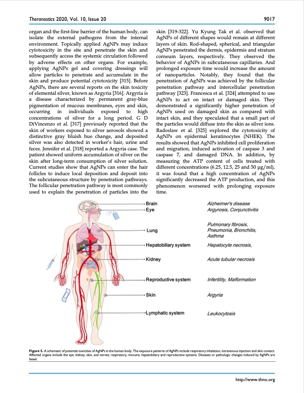 silver-nanoparticles-synthesis-medical-applications-safety-022