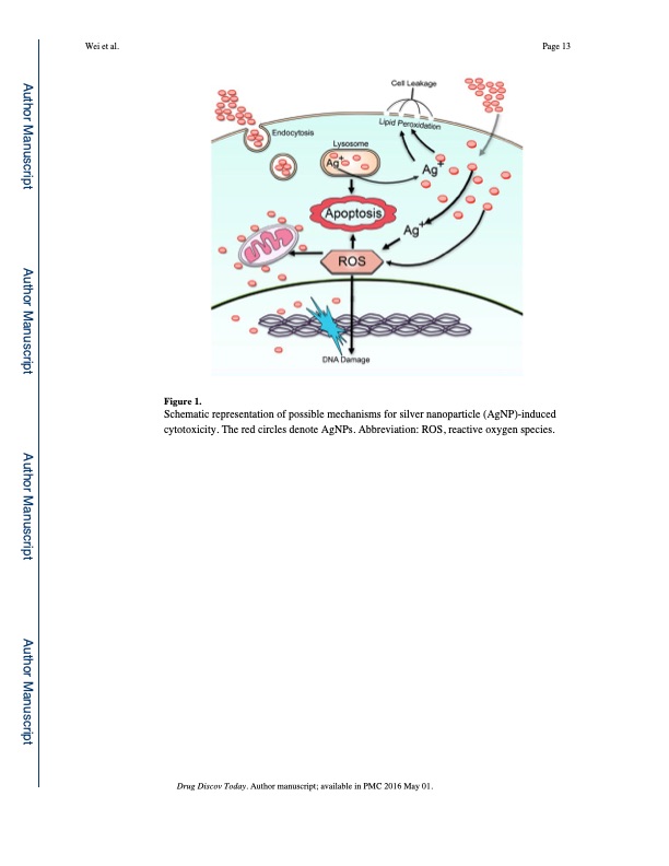 silver-nanoparticles-synthesis-properties-therapeutic-apps-013