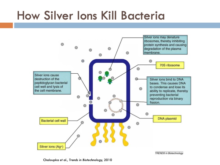 synthesis-and-characterization-silver-nanoparticles-014