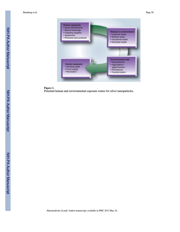 toxicological-studies-silver-nanoparticles-024