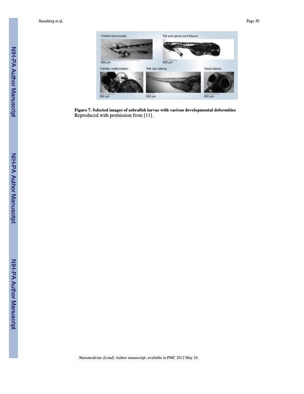 toxicological-studies-silver-nanoparticles-030